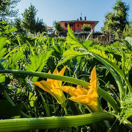Foresteria La Merlina Gospodarstwo agroturystyczne